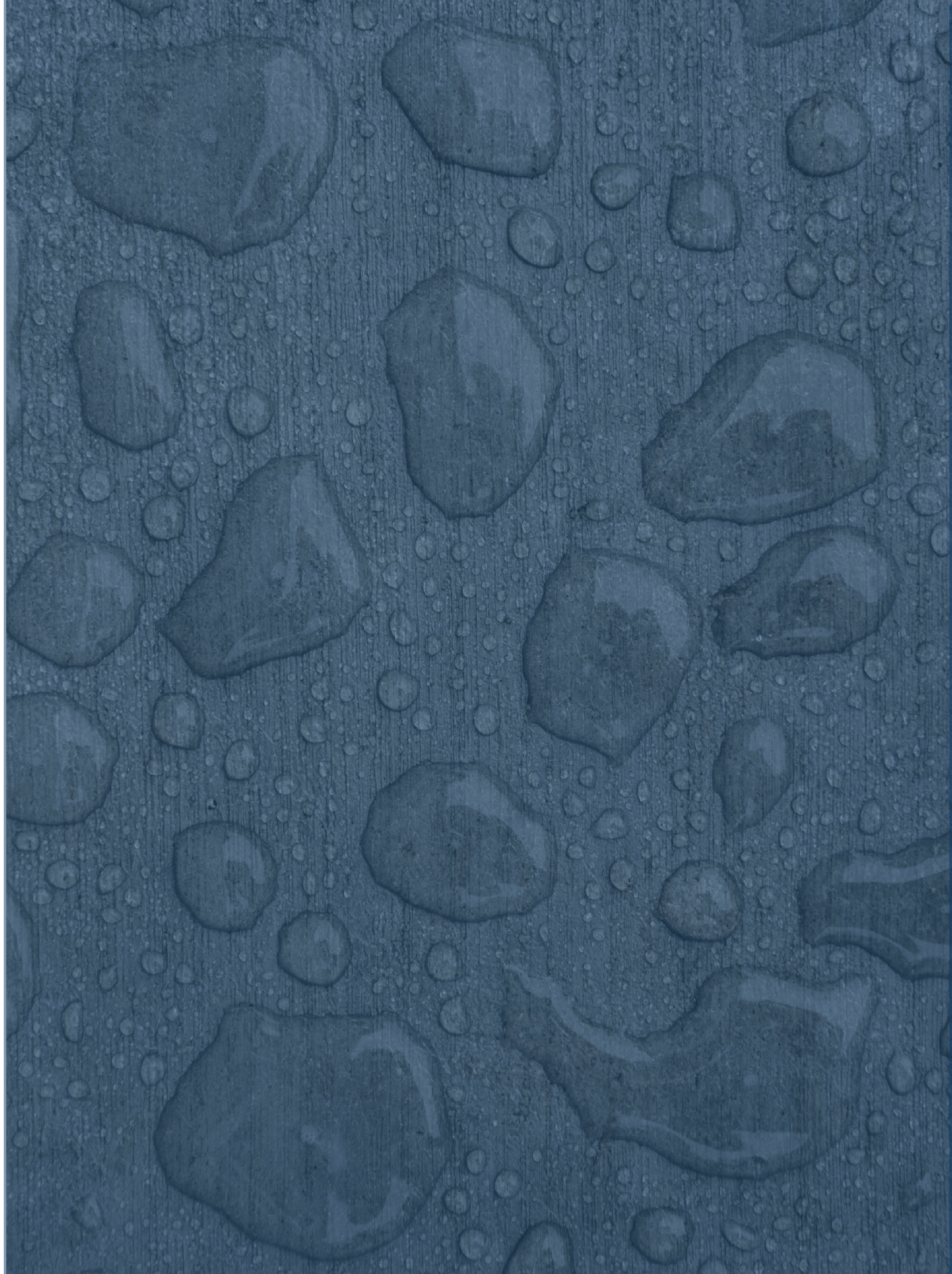 Moisture Mitigation Images-03