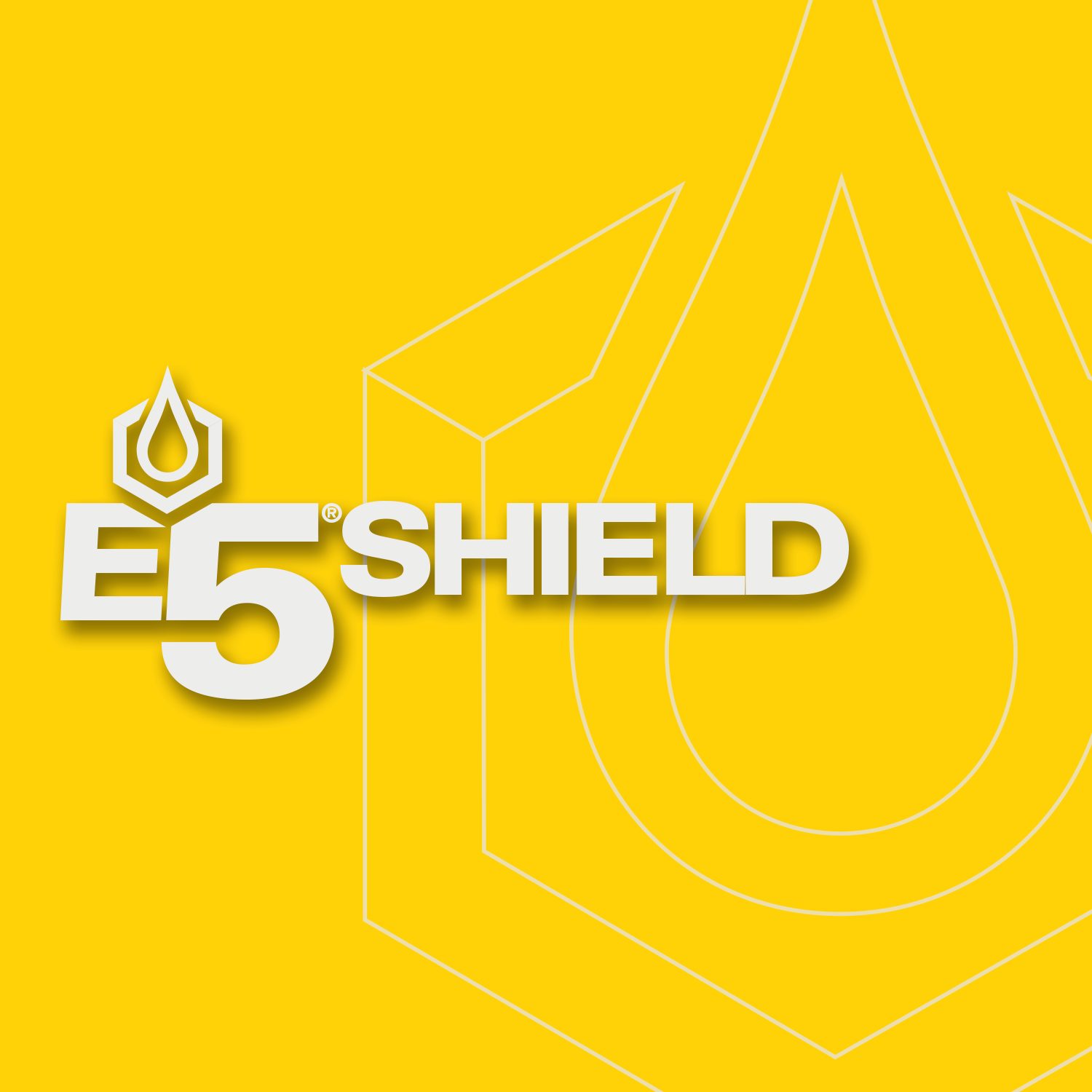 Shield - Copy