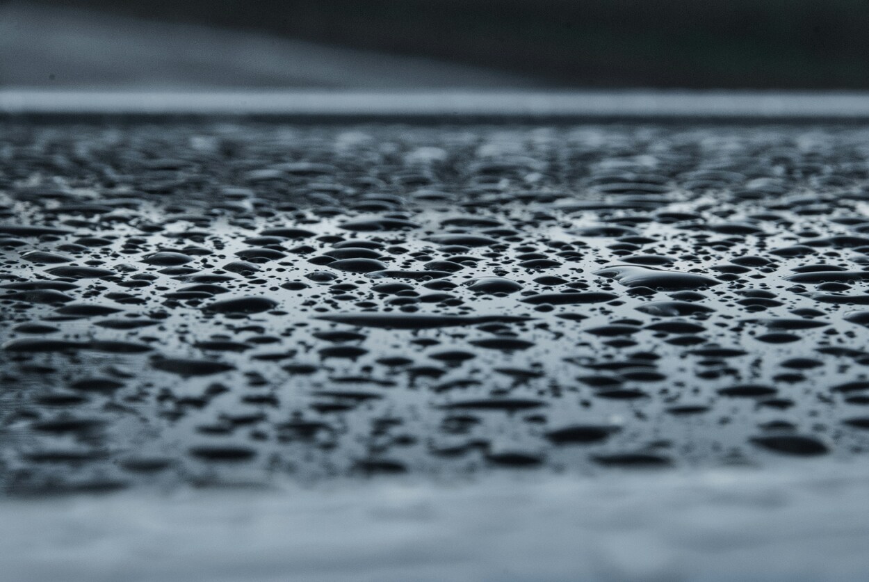 floris-siegers-s8WHdgLe4VA-unsplash-1